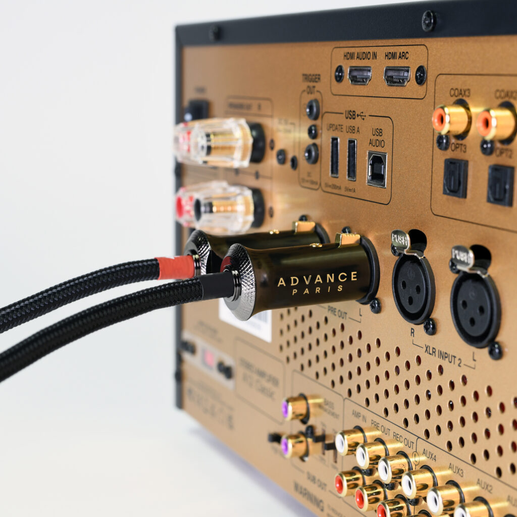 LINK XLR - 3