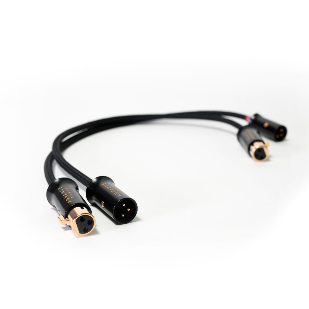 LINK XLR - 2