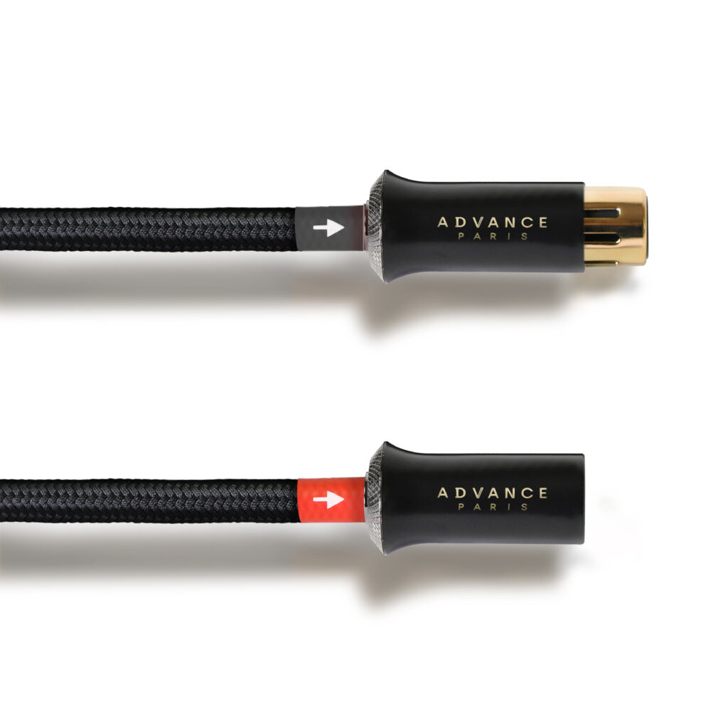 LINK XLR - 1